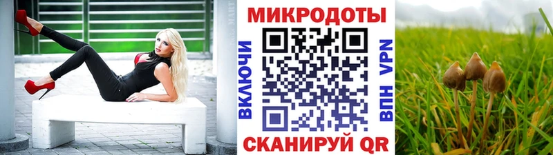 Галлюциногенные грибы MAGIC MUSHROOMS где найти наркотики Нарткала